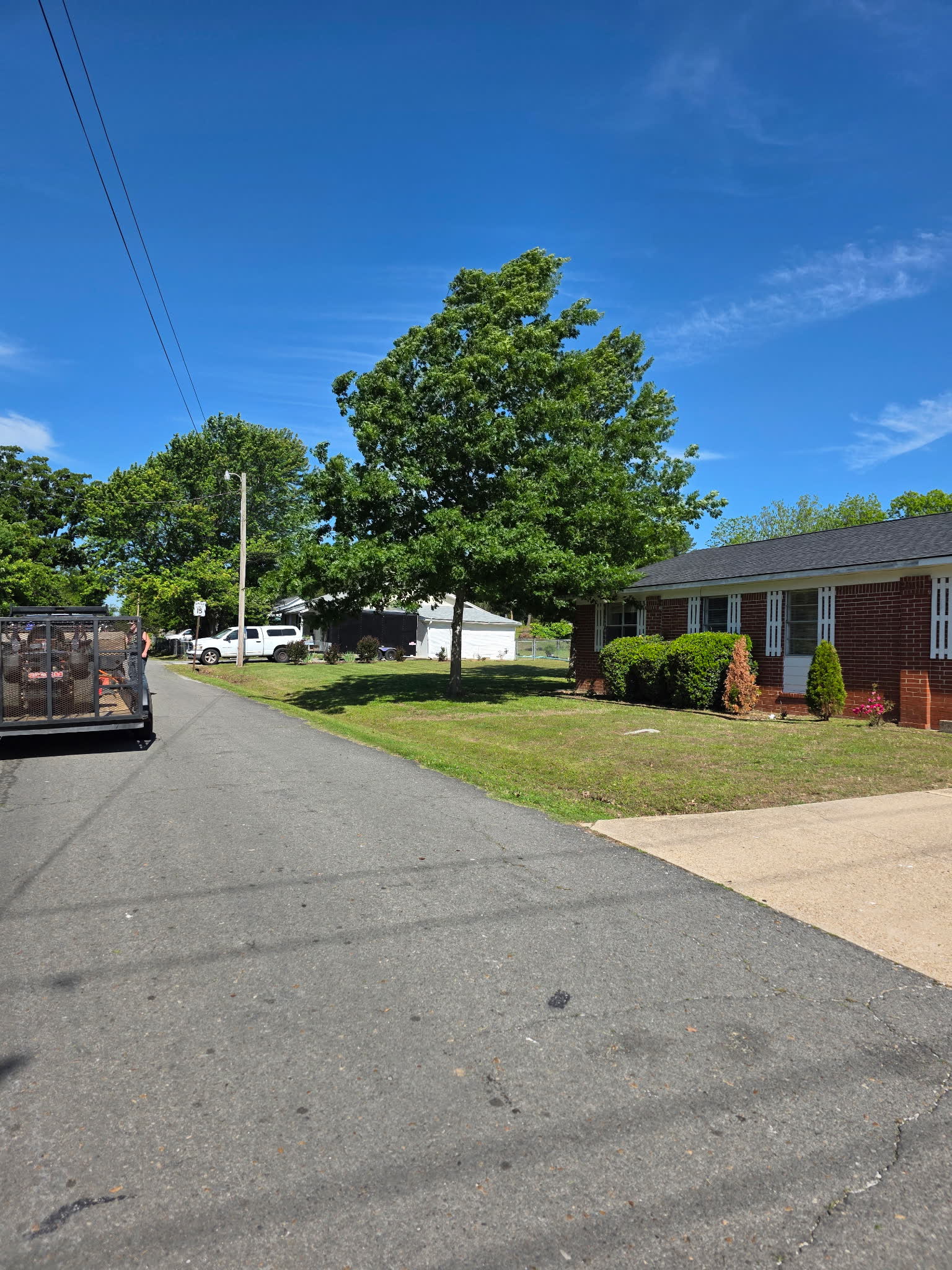 Fresh cut yard in Mountain View Arkansas