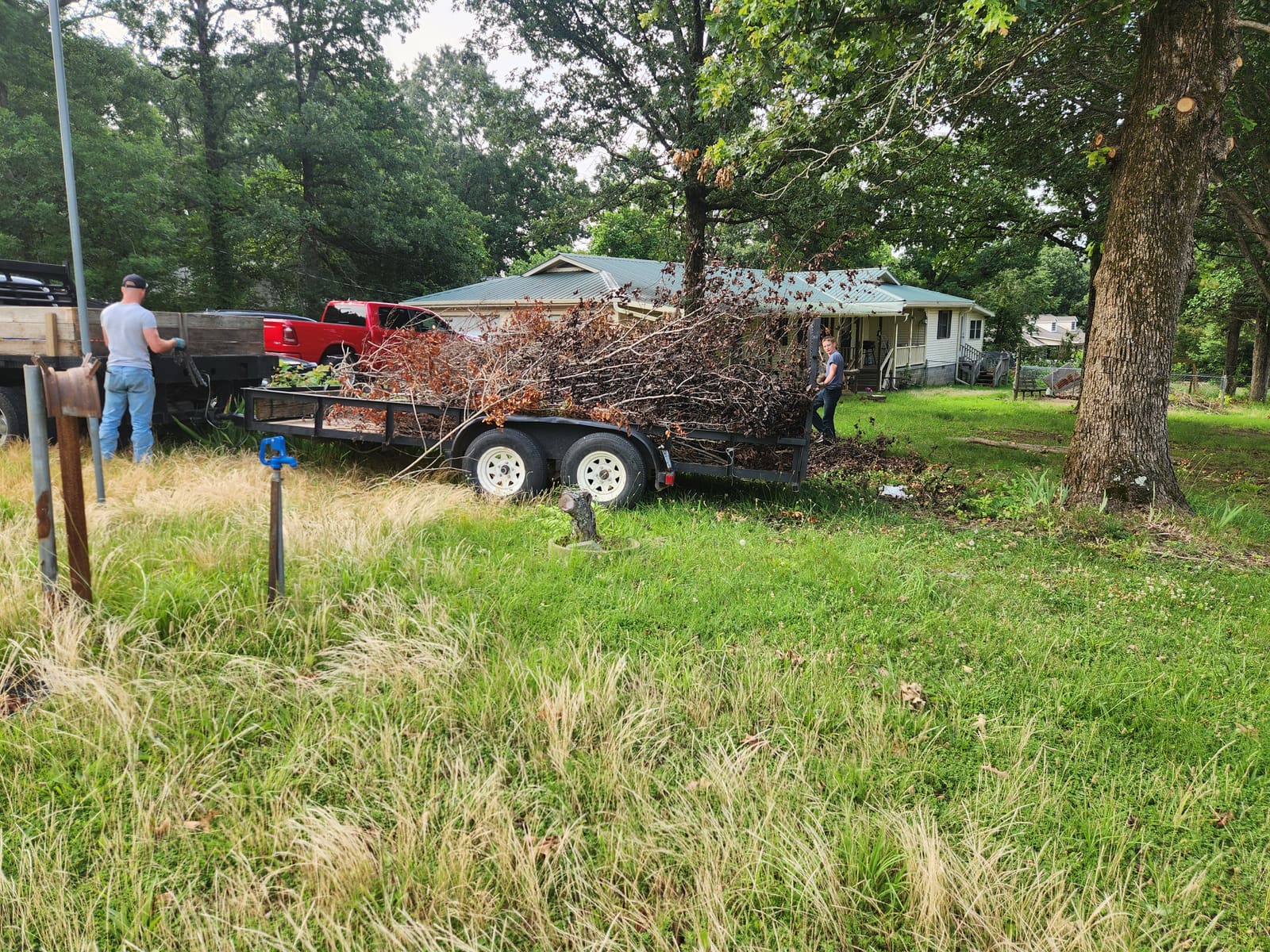 Trailer loaded with brush and limbs during a yard cleanup near Mountain View, Arkansas